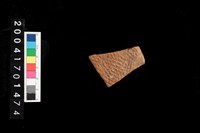 藏品(繩紋腹片)的圖片