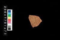 藏品(繩紋腹片)的圖片