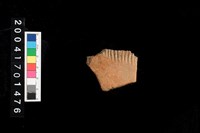 藏品(繩紋腹片)的圖片