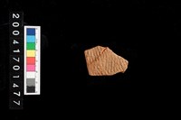 藏品(繩紋腹片)的圖片