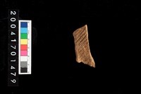 藏品(繩紋腹片)的圖片