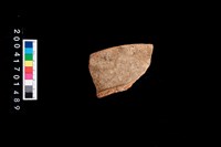 藏品(罐口)的圖片