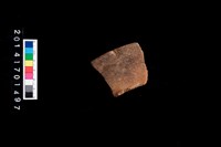 藏品(口緣)的圖片