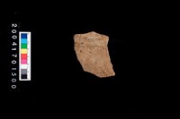 藏品(折肩)的圖片