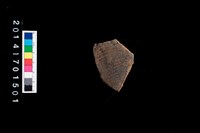 藏品(腹片-帶紋)的圖片