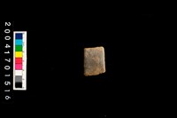 藏品(陶環)的圖片