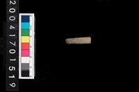 藏品(陶環)的圖片