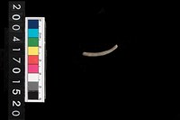 藏品(陶環)的圖片