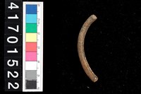 藏品(陶環)的圖片