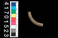 藏品(陶環)的圖片