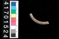 藏品(陶環)的圖片