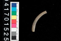 藏品(陶環)的圖片