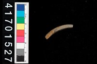 藏品(陶環)的圖片