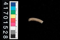 藏品(陶環)的圖片