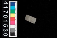 藏品(陶環)的圖片