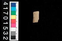 藏品(陶環)的圖片