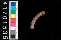 藏品(陶環)的圖片