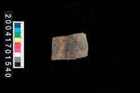 藏品(腹片-素面)的圖片