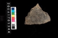 藏品(腹片-素面)的圖片