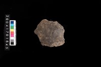 藏品(腹片-帶紋)的圖片