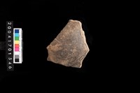 藏品(腹片-素面)的圖片