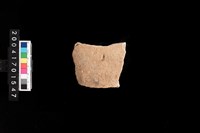 藏品(腹片-素面)的圖片