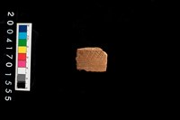 藏品(腹片-帶紋)的圖片