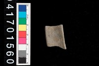 藏品(陶環-帶紋)的圖片