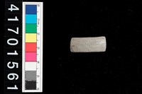 藏品(陶環-帶紋)的圖片