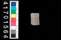 藏品(陶環-帶紋)的圖片