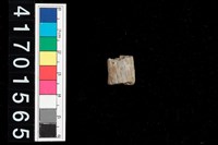 藏品(陶環)的圖片