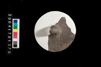 藏品(陶蓋)的圖片