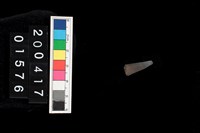 藏品(不明骨器)的圖片