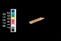 藏品(不明骨器)的圖片