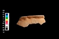 藏品(繩紋罐口)的圖片