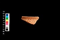 藏品(罐口-帶紋)的圖片