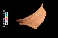 藏品(罐口)的圖片