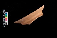 藏品(罐口)的圖片