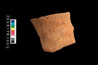 藏品(罐口)的圖片