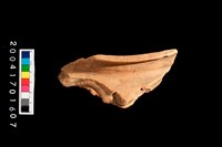 藏品(罐口)的圖片