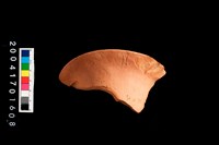 藏品(罐口-帶紋)的圖片