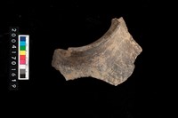 藏品(高口罐口緣-帶紋)的圖片