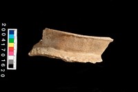 藏品(罐口-帶紋)的圖片