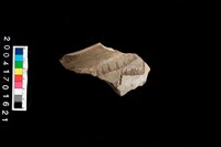 藏品(罐口-帶紋)的圖片