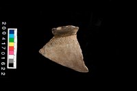 藏品(罐口-帶紋)的圖片