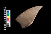 藏品(罐口)的圖片