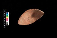 藏品(缽口-帶紋)的圖片