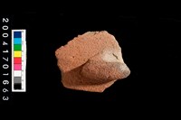 藏品(缽口)的圖片