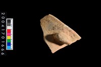 藏品(缽口)的圖片