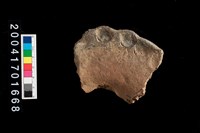 藏品(缽口或盆口?)的圖片